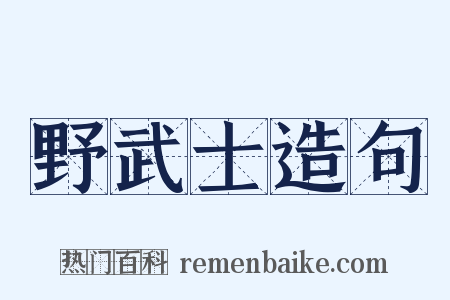 野武士造句是什么意思的图片